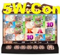Reload Bonus Slots